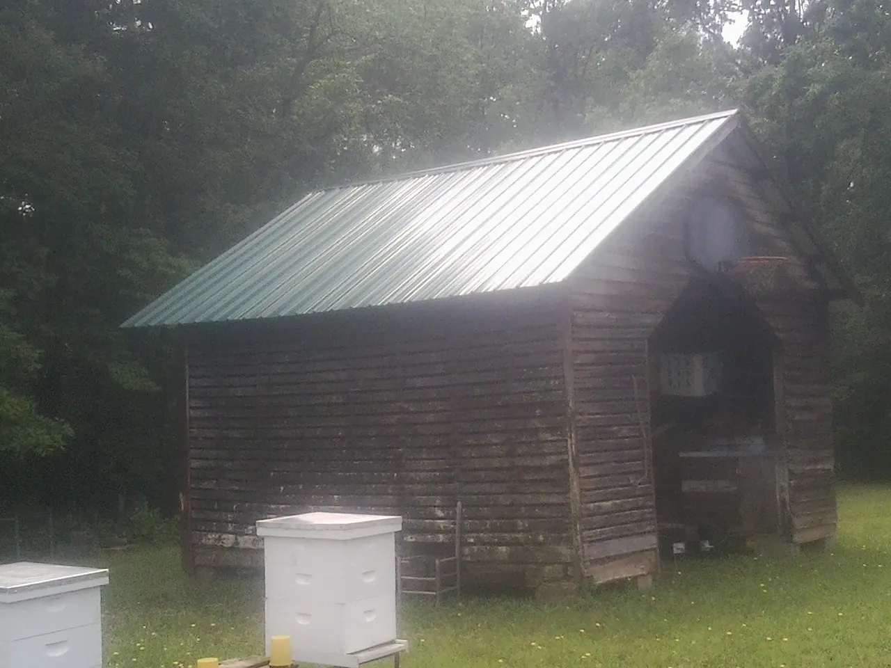 Green metal roof on a weathered barn beside stacked beehives in Touchet