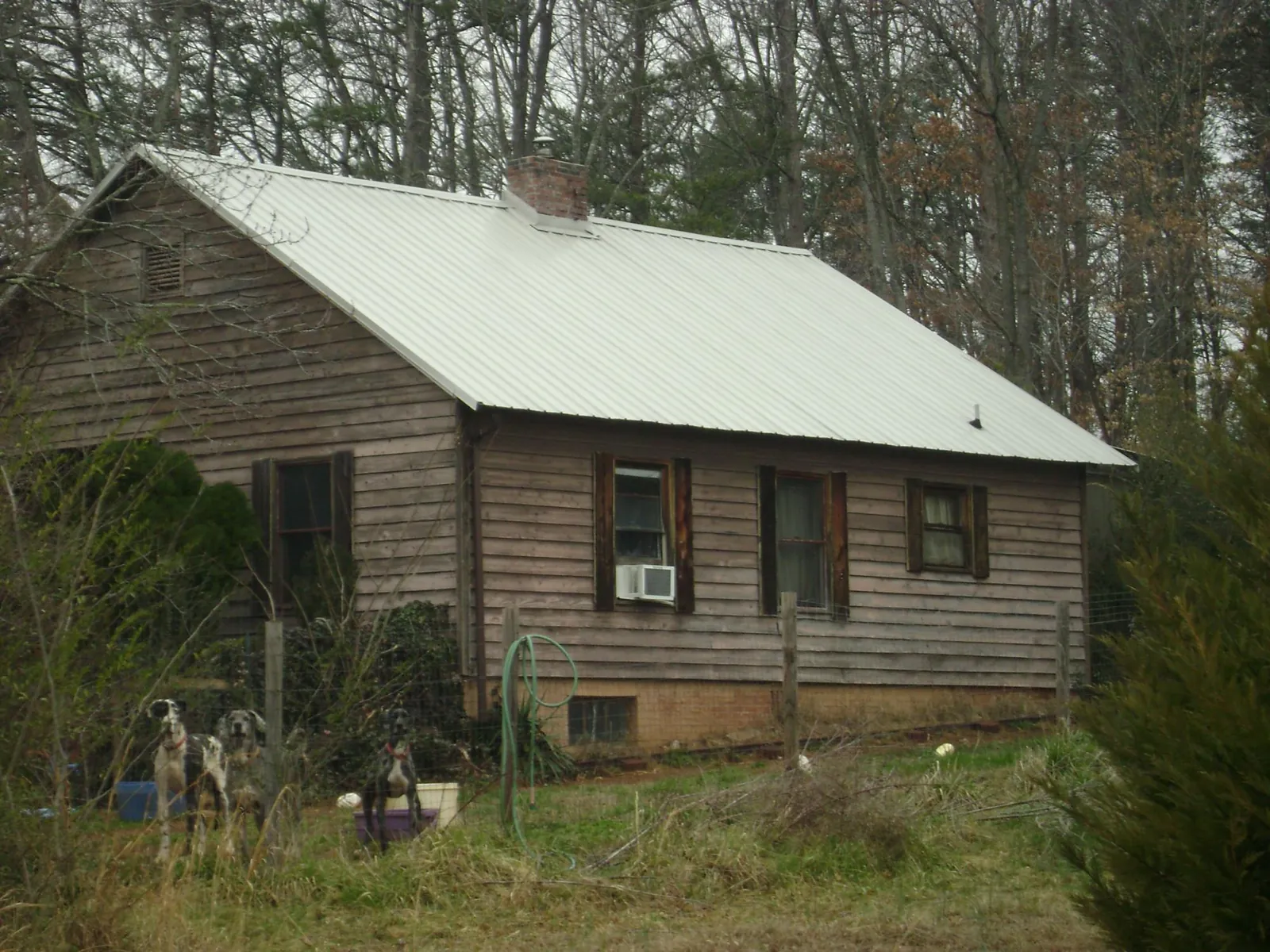 White metal roof on an old wood sided farmhouse, from a Asphalt Shingle Roof Repair job in Touchet